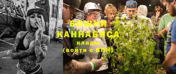 ПСИЛОЦИБИНОВЫЕ ГРИБЫ Краснослободск