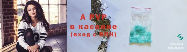 ПСИЛОЦИБИНОВЫЕ ГРИБЫ Краснослободск