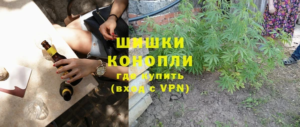 ПСИЛОЦИБИНОВЫЕ ГРИБЫ Краснослободск