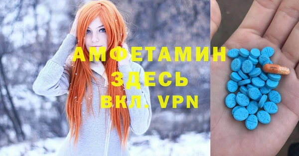 ПСИЛОЦИБИНОВЫЕ ГРИБЫ Краснослободск